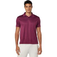 Adf Santhome All Day Fresh Polo Shirt With Uv Protection Maroon